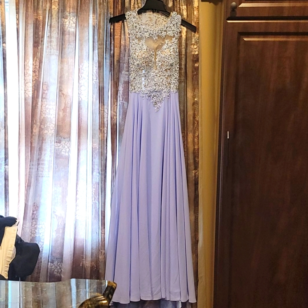 Periwinkle open back gown